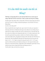 Có cần thiết bỏ muối vào hồ cá Rồng? pptx