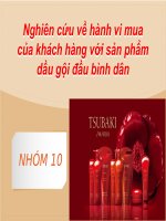 Nghiên cứu về hành vi mua của khách hàng với sản phẩm dầu gội đầu bình dân ppt