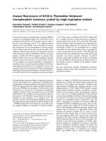 Báo cáo khoa học: Unusual ﬂuorescence of W168 in Plasmodium falciparum triosephosphate isomerase, probed by single-tryptophan mutants docx