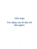 Tiểu luận Tác động của di dân tới đói nghèo pdf