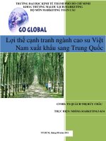 Tiểu luận:Lợi thế cạnh tranh ngành cao su Việt Nam xuất khẩu sang Trung Quốc pot