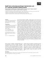 Báo cáo khoa học: EspB from enterohaemorrhagic Escherichia coli is a natively partially folded protein pptx