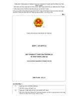 TRÌNH BÀY TRANG BÌA VÀ TRANG 2 CỦA QUY CHUẨN KỸ THUẬT ĐỊA PHƯƠNG CỦA TỈNH BÌNH THUẬN pptx