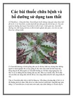 Các bài thuốc chữa bệnh và bổ dưỡng sử dụng tam thất potx