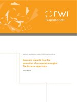 Economic impacts from the promotion of renewable energies: The German experience ppt