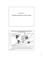 Sản phẩm chuyển gien trên thị trường doc