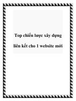 Top chiến lược xây dựng liên kết cho 1 website mới pot