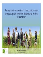 Fetal growth restriction in association with particulate air pollution before and during pregnancy potx