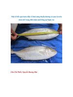 Một số kết quả bước đầu về khả năng thuần dưỡng cá cam Seriola dumerili trong điều kiện nuôi lồng tại Nghệ An pptx