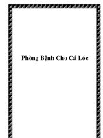 Phòng Bệnh Cho Cá Lóc pdf