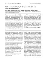 Báo cáo khóa học: ICAM-1 expression is highly NF-jB-dependent in A549 cells No role for ERK and p38 MAPK docx