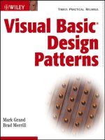 Visual Basic Design Patterns pdf