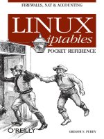 Linux iptables Pocket Reference pot