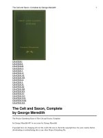 The Celt and Saxon, Complete docx