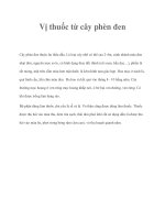 Vị thuốc từ cây phèn đen doc