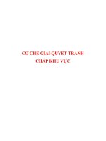 Tiểu luận:CƠ CHẾ GIẢI QUYẾT TRANH CHẤP KHU VỰC doc