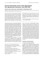 Báo cáo Y học: Structural determination of the O-chain polysaccharide from Agrobacterium tumefaciens, strain DSM 30205 pot
