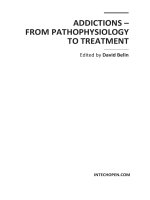Addictions – From Pathophysiology to Treatment Edited by David Belin pdf