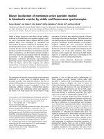 Báo cáo khoa học: Bilayer localization of membrane-active peptides studied in biomimetic vesicles by visible and ﬂuorescence spectroscopies pptx