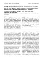 Báo cáo khoa học: HIP/PAP, a C-type lectin overexpressed in hepatocellular carcinoma, binds the RIIa regulatory subunit of cAMP-dependent protein kinase and alters the cAMP-dependent protein kinase signalling ppt