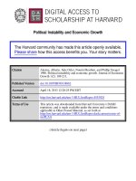 Political Instability and Economic Growth ppt