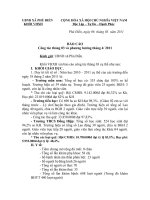 bao cao thang 3.2011 pdf