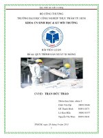 TIEU LUAN MON TAI CHE - CONG NGHE SAN XUAT XI MANG