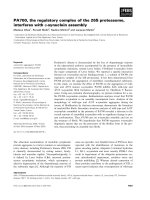 Báo cáo khoa học: PA700, the regulatory complex of the 26S proteasome, interferes with a-synuclein assembly pptx