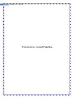 Đề thi môn tin học trường ĐH Ngân Hàng docx