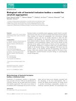 Báo cáo khoa học: Biological role of bacterial inclusion bodies: a model for amyloid aggregation potx