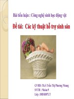 Kỹ thuật hỗ trợ sinh sản pot