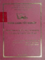 Văn hoá kinh doanh các nước Scandinavia và cơ hội giao thương của Việt Nam