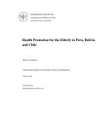 Health Promotion for the Elderly in Peru, Bolivia and Chile ppt