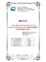 đo lường thái độ đối với các thương hiệu theo mô hình fishbein và mô hình tora