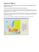 Lịch sử 11 Bài 11