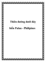 Thiên đường dưới đáy biển Palau - Philipines docx