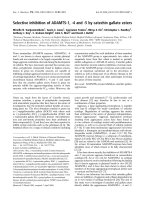 Báo cáo khoa học: Selective inhibition of ADAMTS-1, -4 and -5 by catechin gallate esters ppt