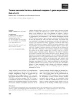 Báo cáo khoa học: Tumor necrosis factor-a-induced caspase-1 gene expression pptx