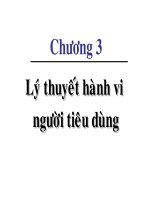 Chuong 3 ly thuyet hanh vi nguoi tieu dung - Kinh tế vi mô - Đặng Văn Thành