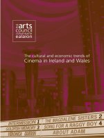 The cultural and economic trends of Cinema in Ireland and Wales doc