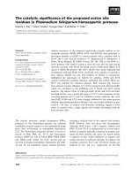 Báo cáo khoa học: The catalytic signiﬁcance of the proposed active site residues in Plasmodium falciparum histoaspartic protease ppt