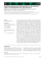 Báo cáo khoa học: Functional and genetic characterization of the promoter region of apolipoprotein H (b2-glycoprotein I) ppt