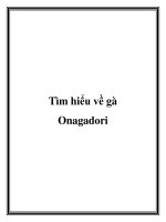 Tìm hiểu về gà Onagadori pot