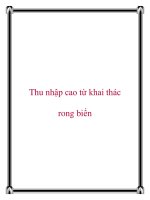 Thu nhập cao từ khai thác rong biển pdf