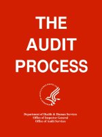 the audit process
