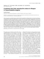 A pathway that links reproductive status to lifespan in Caenorhabditis elegans pptx
