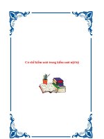 Cơ chế kiểm soát trong kiểm soát nội bộ. pptx