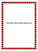 Cách khắc phục hệ điều hành bị treo pot