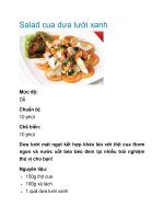 Salad cua dưa lưới xanh pot