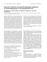 Báo cáo khoa học: Expression, localization and potential physiological signiﬁcance of alcohol dehydrogenase in the gastrointestinal tract pdf